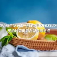 计算机复合型病毒一般的破坏方式有哪些,常见的计算机复合型病毒特点