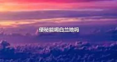 便秘能喝白兰地吗