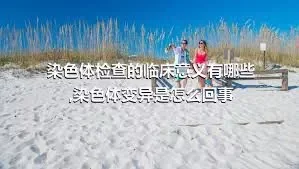 染色体检查的临床意义有哪些,染色体变异是怎么回事