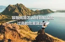 尿酸高是怎么回事呢,尿酸过高的危害及治疗_