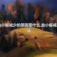 宝宝血小板减少的原因是什么,血小板减少的症状