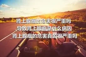 肾上腺瘤的危害很严重吗_导致肾上腺瘤是什么病因