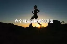 六个月宝宝尿黄的原因