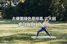 大便墨绿色是排毒,六大因素导致墨绿色大便