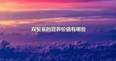 双髻鲨的营养价值有哪些