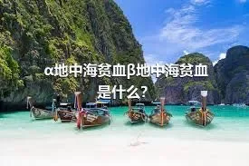 α地中海贫血β地中海贫血是什么？