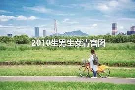 2010生男生女清宫图