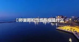 ​卵巢颗粒性细胞瘤是什么