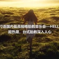 两岸携手打造国内最高规格胎教音乐会—HELLOBABY再掀热潮，台式胎教深入人心