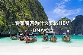 专家解答为什么要做HBV-DNA检查