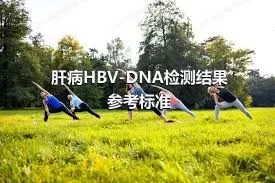 肝病HBV-DNA检测结果参考标准