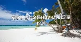 专家解答什么是HBV-DNA定量检测