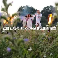 乙肝五项与HBV-DNA的区别有哪些