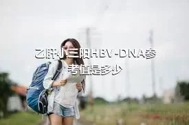 乙肝小三阳HBV-DNA参考值是多少