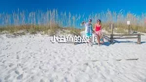 小丑鱼的故事