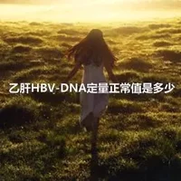 乙肝HBV-DNA定量正常值是多少