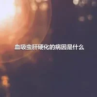 血吸虫肝硬化的病因是什么