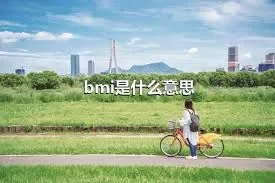 bmi是什么意思