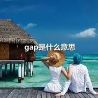 gap是什么意思