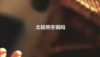 北极熊冬眠吗