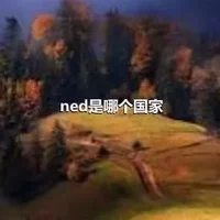 ned是哪个国家