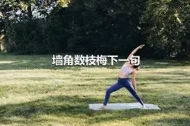 墙角数枝梅下一句