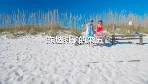 东坡肘子的来历