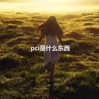 pci是什么东西