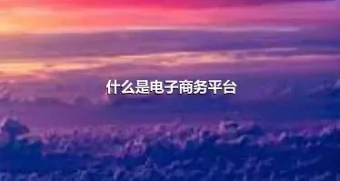 什么是电子商务平台