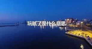 玩腻了是什么意思