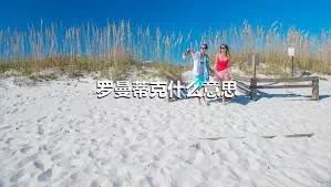 罗曼蒂克什么意思