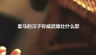 套马的汉子你威武雄壮什么歌