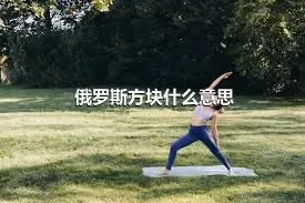 俄罗斯方块什么意思