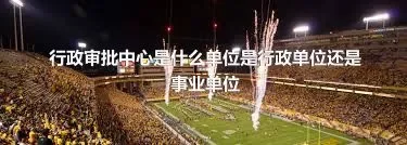 行政审批中心是什么单位是行政单位还是事业单位