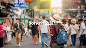 soho什么意思