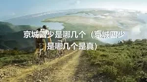 京城四少是哪几个（京城四少是哪几个是真）