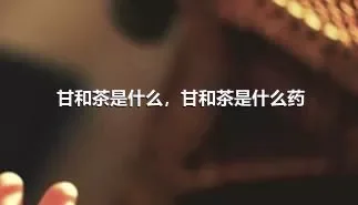 甘和茶是什么，甘和茶是什么药