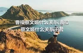 曹操蔡文姬什么关系,曹操蔡文姬什么关系王者