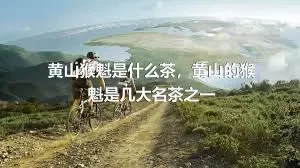 黄山猴魁是什么茶，黄山的猴魁是几大名茶之一