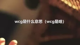 wcg是什么意思（wcg是啥）