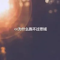 cc为什么跑不过思域