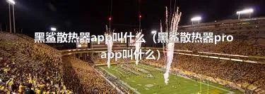 黑鲨散热器app叫什么（黑鲨散热器proapp叫什么）