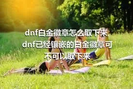 dnf白金徽章怎么取下来,dnf已经镶嵌的白金徽章可不可以取下来