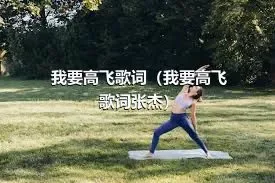 我要高飞歌词（我要高飞歌词张杰）