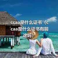 ccaa是什么证书（ccaa是什么证书有前途吗）