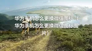 华为手机怎么更换微信图标（华为手机怎么更换微信图标图片）