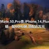 比华为Mate,50,Pro贵,iPhone,14,Plus明天首销：配60Hz屏,顶配近万元