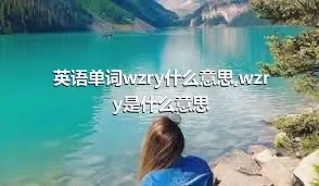 英语单词wzry什么意思,wzry是什么意思