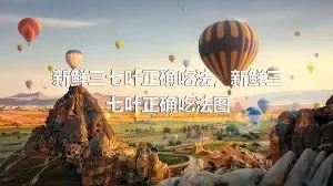 新鲜三七叶正确吃法，新鲜三七叶正确吃法图