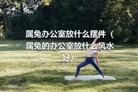 属兔办公室放什么摆件（属兔的办公室放什么风水好）